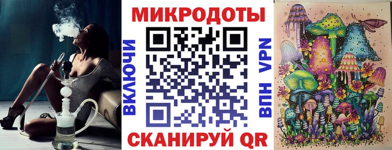 Псилоцибиновые грибы Psilocybe  Купить закладки  Шуя 