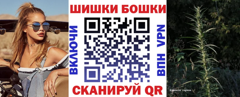 Канабис сатива Шуя
